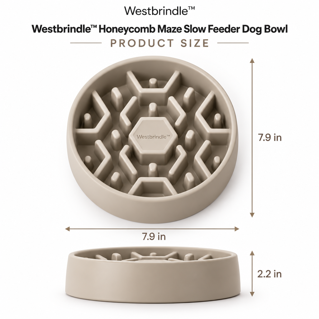 Westbrind™ Puzzle Slow Feeder Bowl dimensions