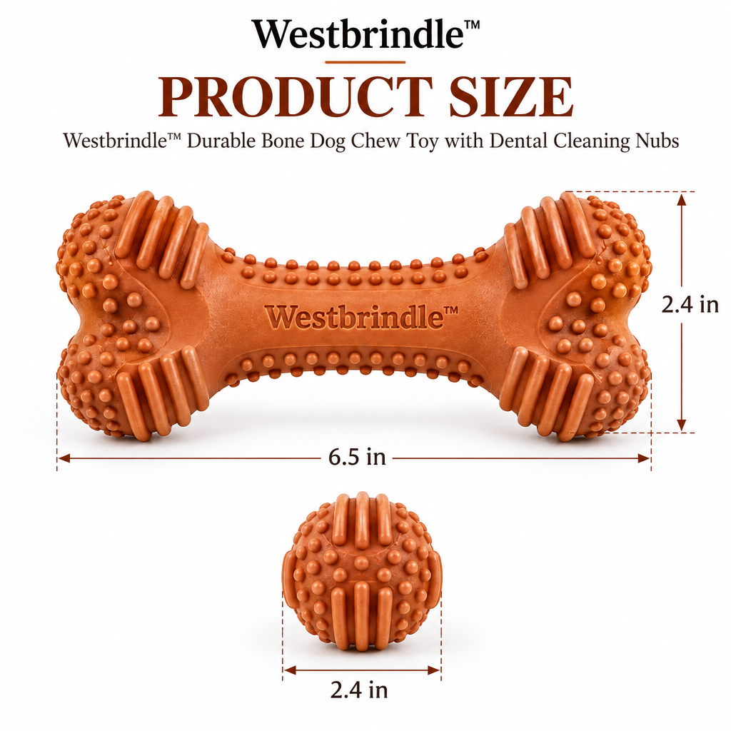 Westbrind™ Rubber Dental Chew Bone Toy dimensions