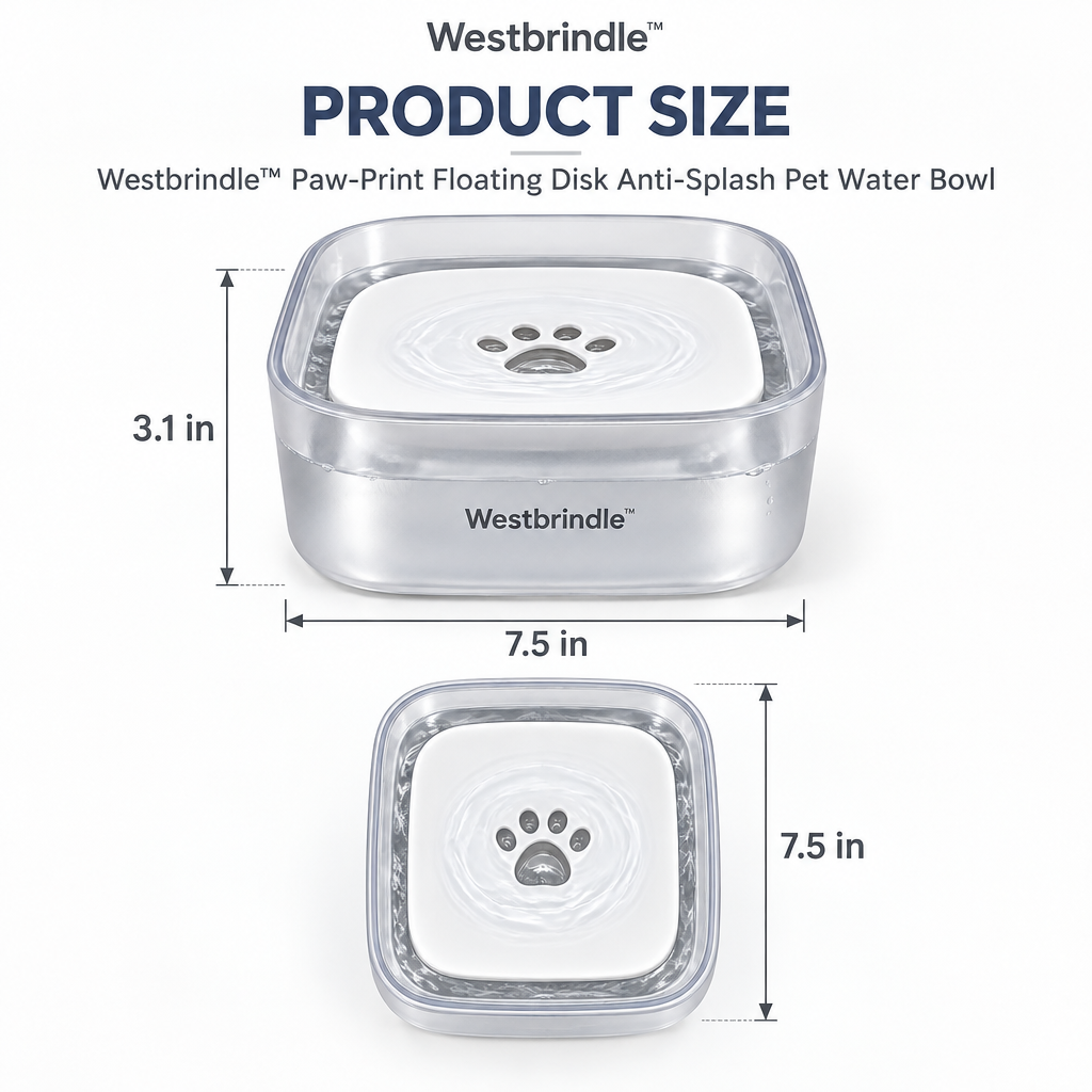Westbrind™ Stainless Steel Elevated Pet Bowl dimensions